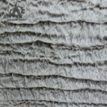 دستکش سانکس شایا Shaya - تصویر 2